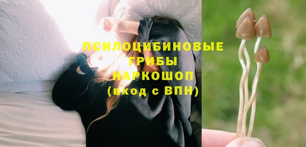 сатива Елабуга