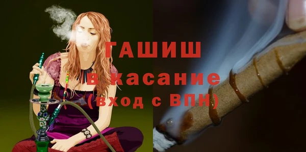 сатива Елабуга