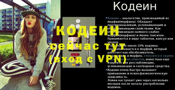 амф Ельня