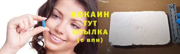 амф Ельня