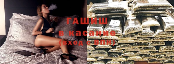амф Ельня