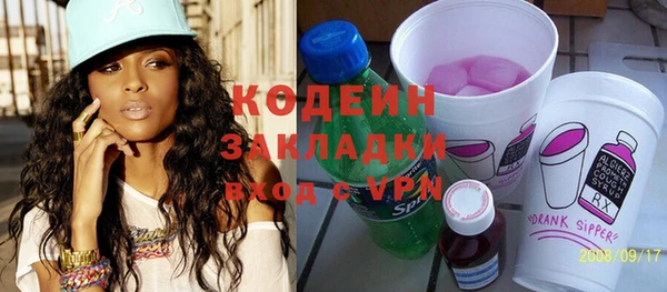 амф Ельня
