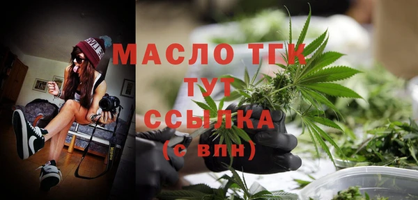 сатива Елабуга