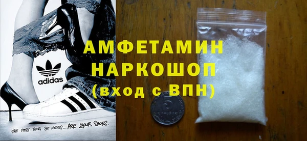амф Ельня