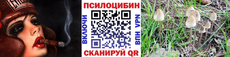 Галлюциногенные грибы ЛСД  продажа наркотиков  Орск 