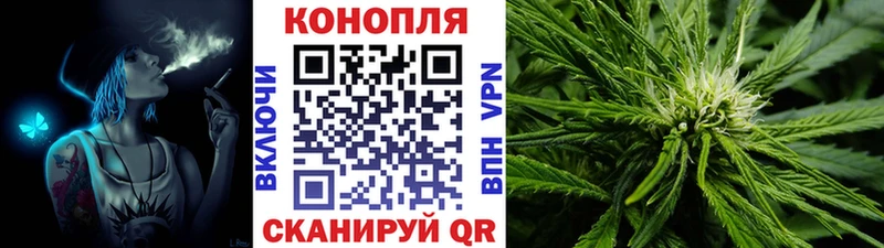 Бошки марихуана план  где продают наркотики  площадка наркотические препараты  Орск 